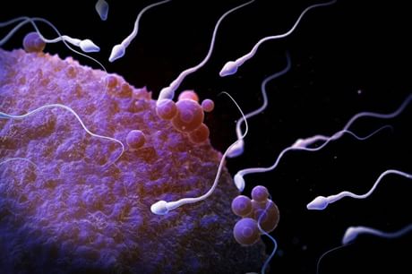 © Copyright 2014 CorbisCorporation